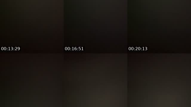 @sopamedoo TikTok live