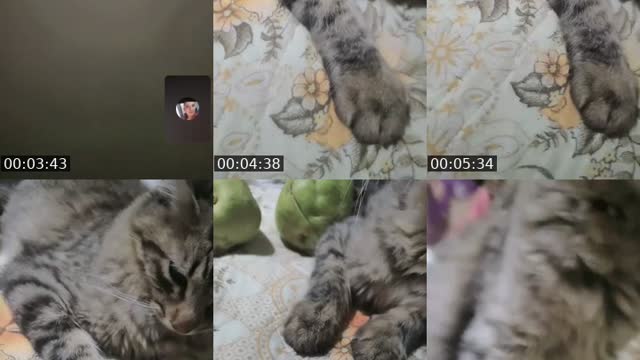 @valeriaaranza0 TikTok live from 2026-08-14