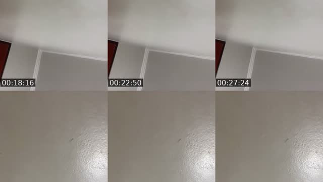 @elisandra218 TikTok live