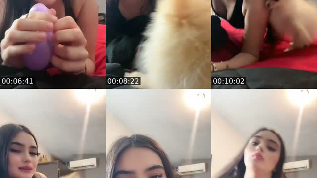 @_alexarios_ TikTok live from 2026-08-14