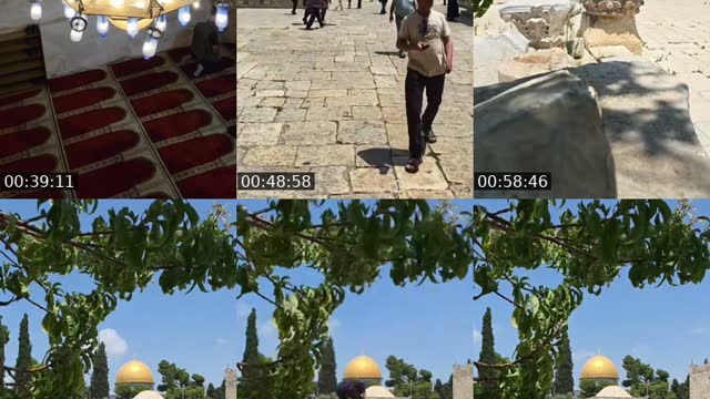 @tiktok_220026 TikTok live from 2026-08-14