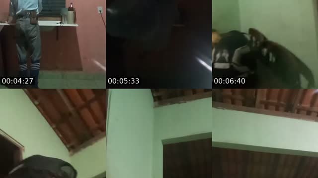 @joaovictor98985 TikTok live