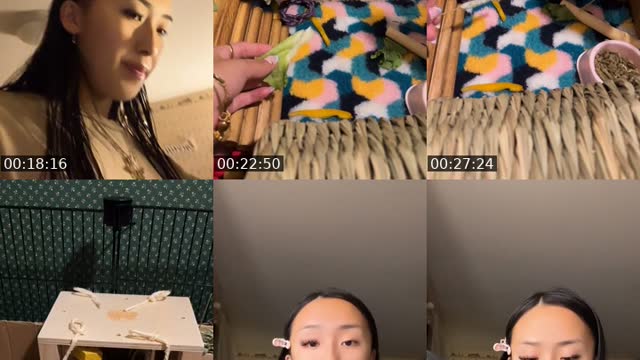 TikTok live: night time  guinea pig by @adoredeardaisy