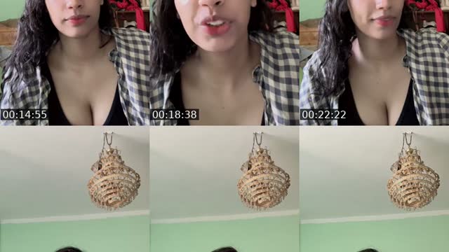 @diiiva52 TikTok live from 2026-08-15