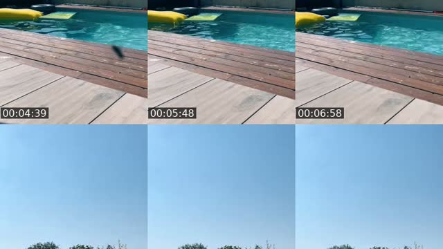 @tomdim13 TikTok live from 2026-08-14