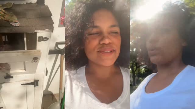 @jrabbsworld TikTok live