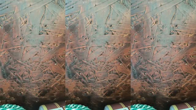 @kisduna TikTok live from 2026-08-14