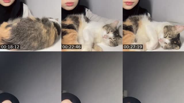 @hailnaa TikTok live from 2026-08-14