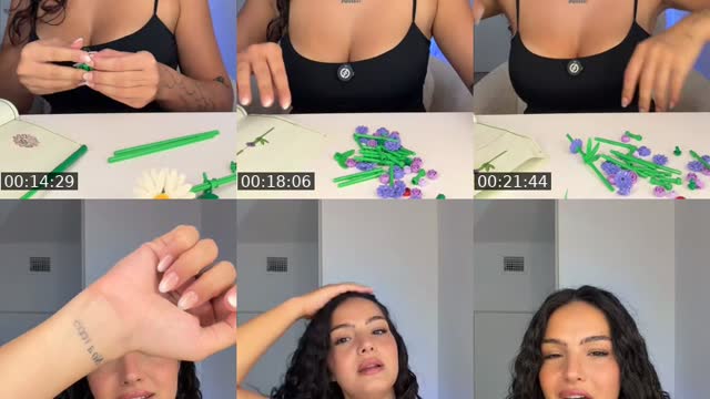 Mexico TikTok live: Legoooo by @elenalexiss17