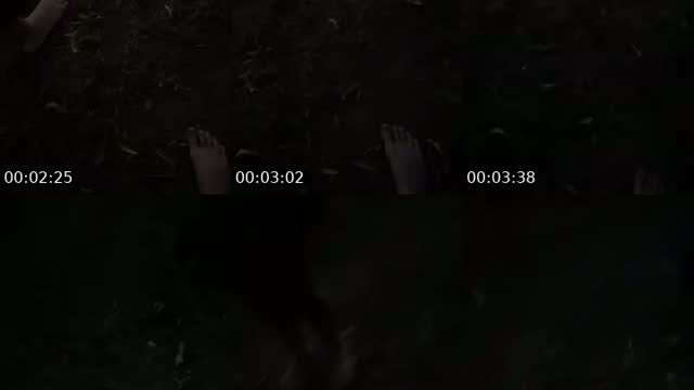 @toby.reynolds8 TikTok live