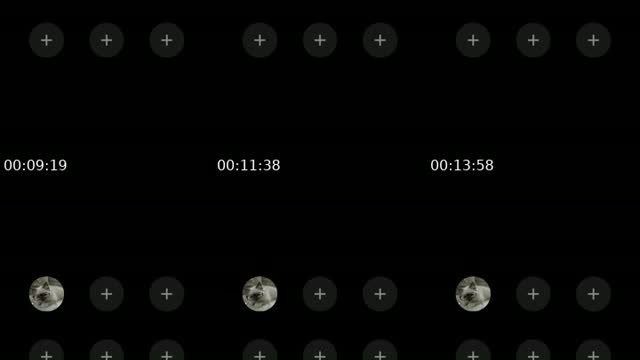@of.everything29 TikTok live