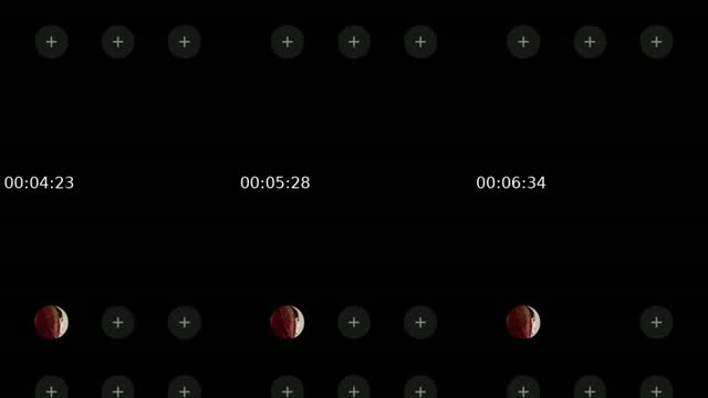 @qaydalreem TikTok live