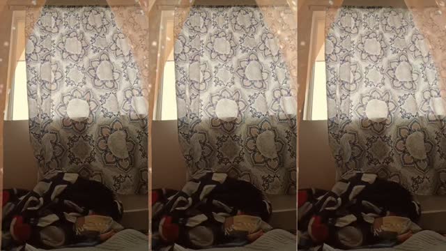 @elicamacho52 TikTok live