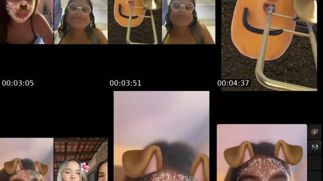 @luiza.fernandes996 TikTok live from 2026-08-15