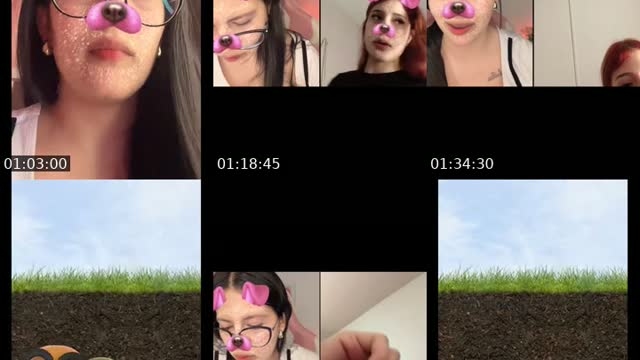 @dulce_pepita TikTok live from 2026-08-15