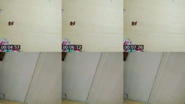 @x.rums TikTok live from 2026-08-15