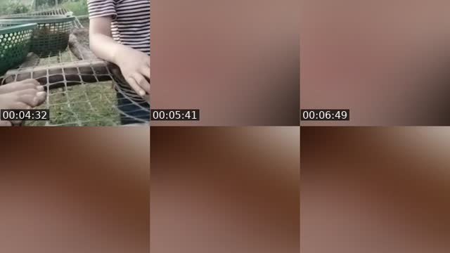 @hong.trc.1998 TikTok live