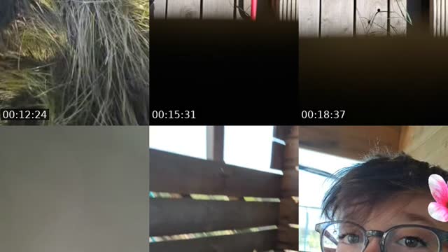 TikTok live: za koblihu kámoš padá do bazenu by @tobk.k
