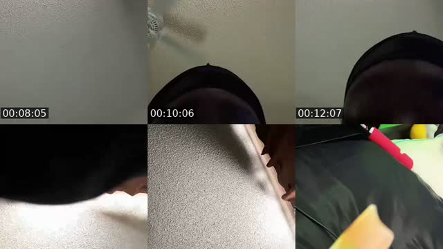 @datthicklilshh TikTok live from 2026-08-15