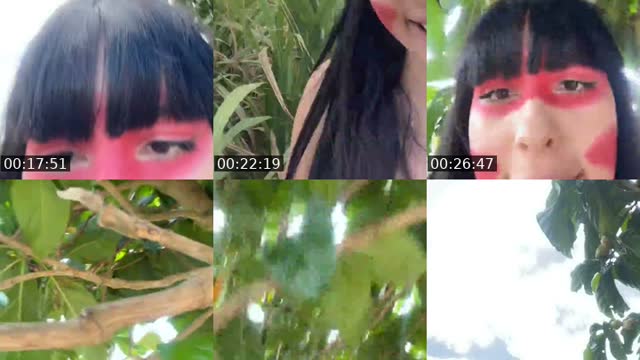 TikTok live: Selva by @mavis_indiazinha