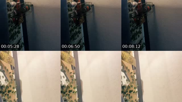 @winter.thecoldest TikTok live