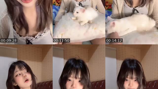 TikTok live: meow by @hammochii