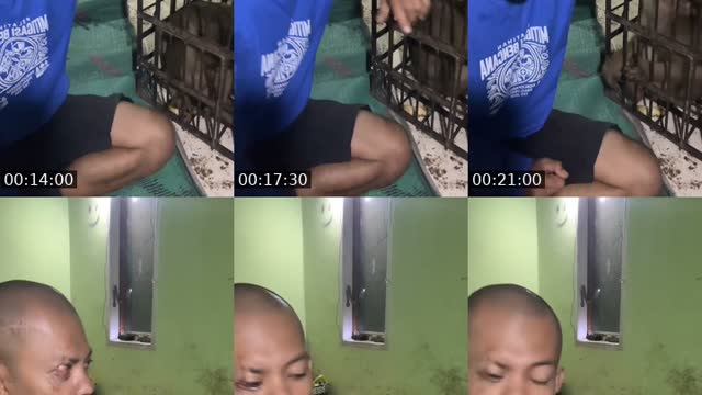 @detimmanik8 TikTok live from 2026-08-16