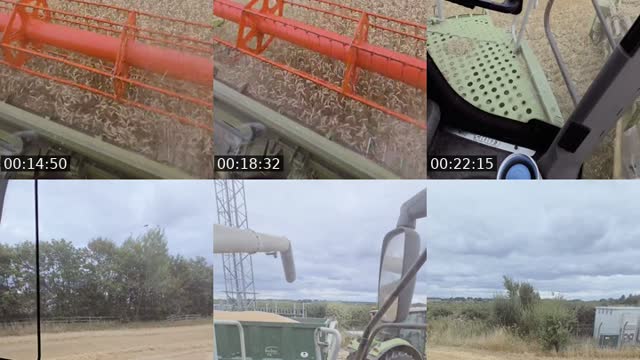 TikTok live: harvesting wheat by @farmerhedley