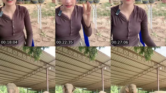 @cream_449900 TikTok live from 2026-08-16