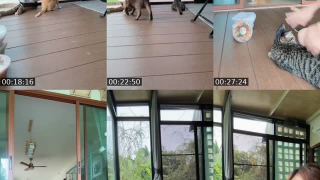 TikTok live: มาตอนเช้าคับพี่ๆ by @tuazorfamily