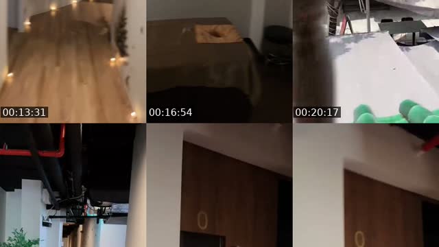 @apple.81960905 TikTok live
