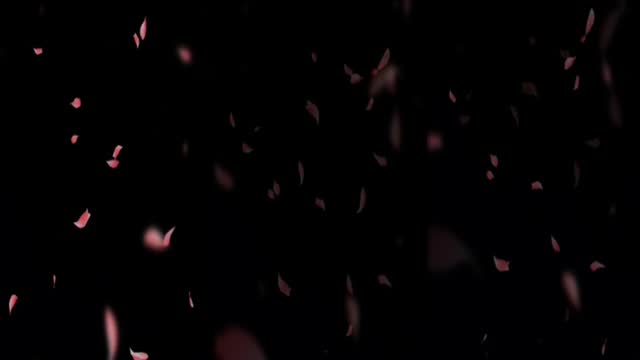 @christine.669 TikTok live
