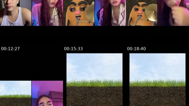 @wilyernz TikTok live from 2026-08-16