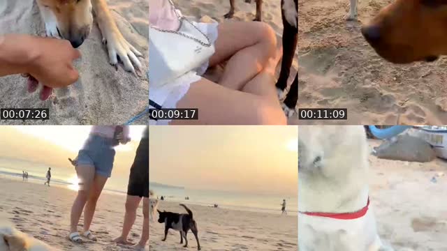 TikTok live: Salam kejengat-kejengit🐕🙏 by @streetdogsch
