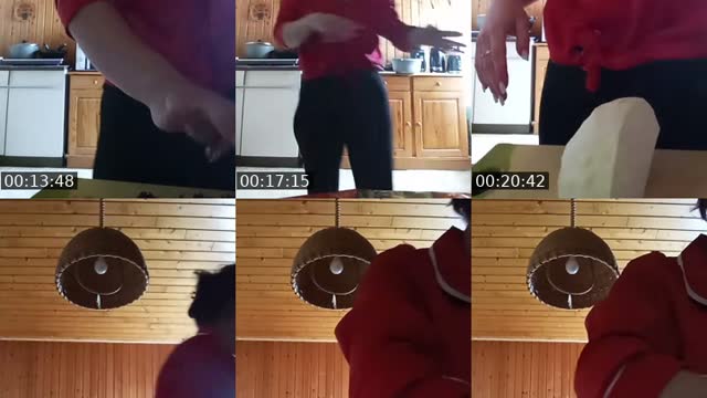 @alinkaholosii TikTok live