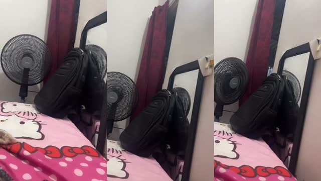 @kris.3202 TikTok live from 2026-08-17