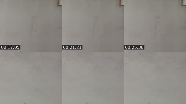 TikTok live: evee by @jvlliaaqa