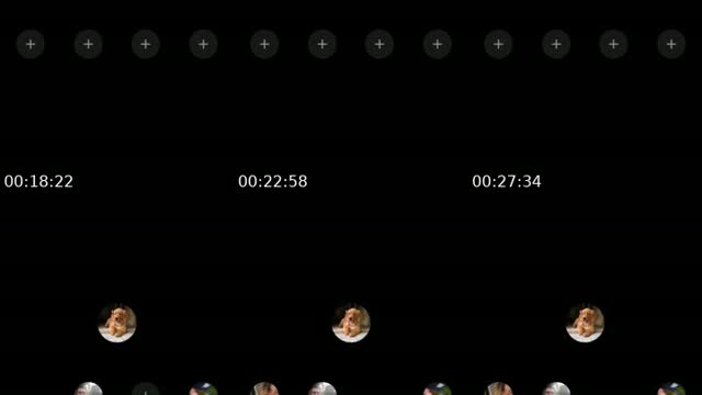 @tender4117 TikTok live from 2026-08-16