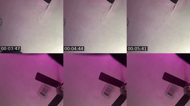 @kamikazikk TikTok live from 2026-08-16