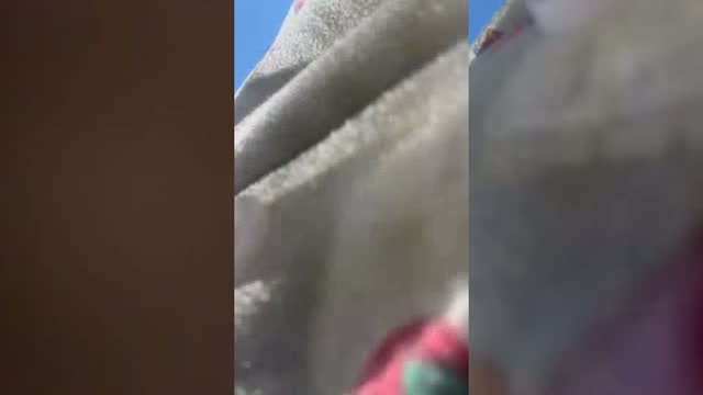 @1kkchikaa TikTok live from 2026-08-16