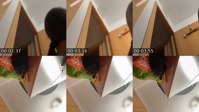 @laiaichartt._ TikTok live from 2026-08-16