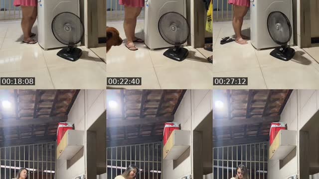 @kemilygoncalves3 TikTok live from 2026-08-16