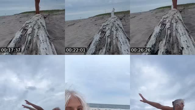 @jill.blossoms TikTok live from 2026-08-16
