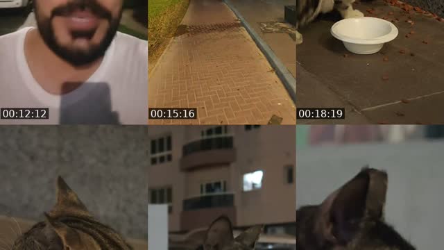 TikTok live: From your contacts by @dubai_streamer