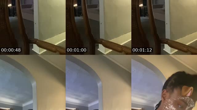 TikTok live: Looking crazy…. by @spoileddt