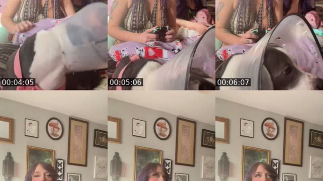TikTok live: https://chirp.me/ScarletRoseLovers by @scarletroselover