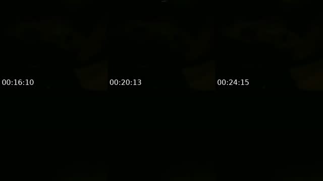 @habibathbibha4 TikTok live from 2026-08-16