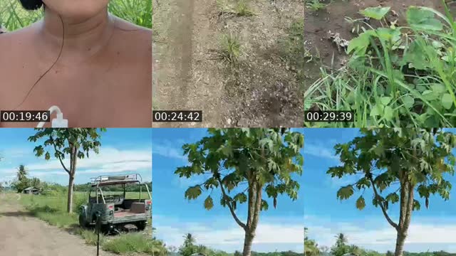 @jonnarosetaguiam TikTok live from 2026-08-17