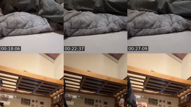 @user230116000 TikTok live from 2026-08-17
