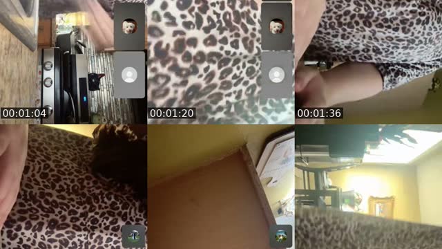 @vbae444 TikTok live from 2026-08-17